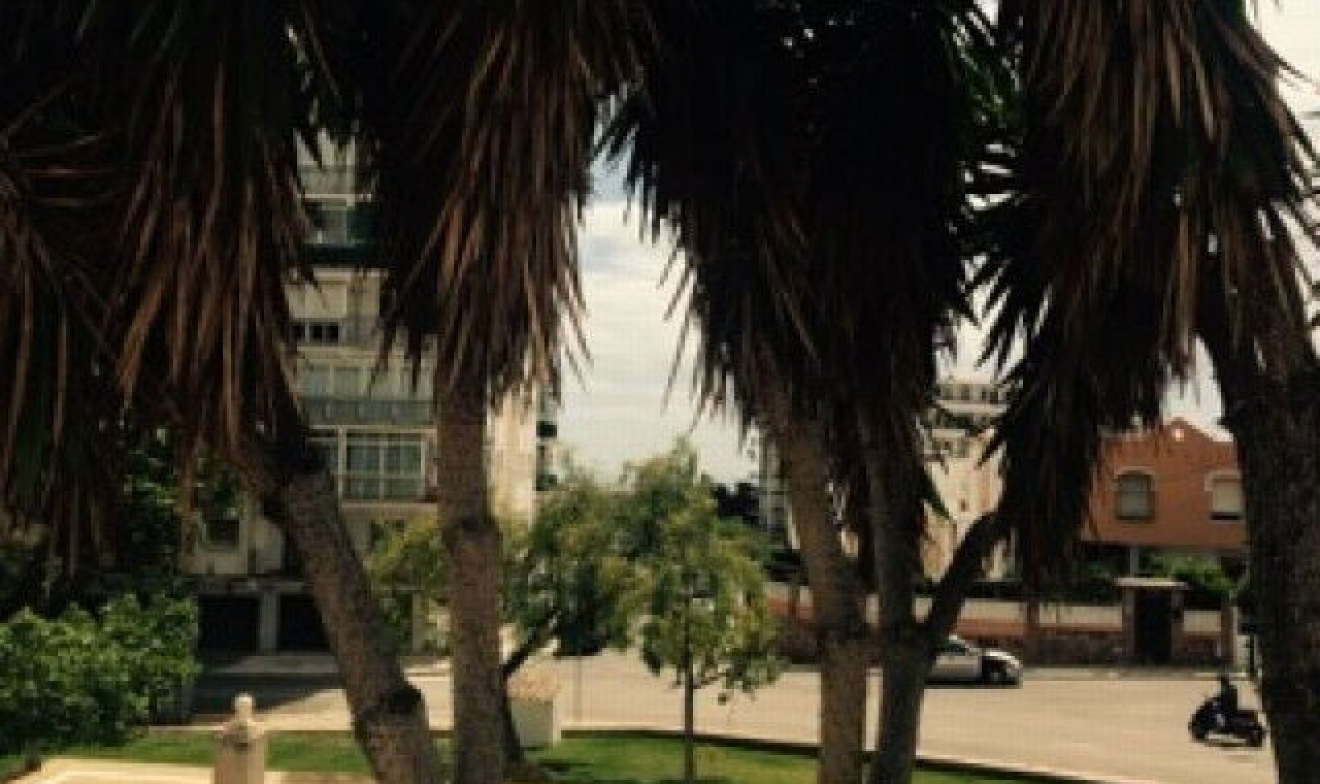 Resale - House -
Nerja