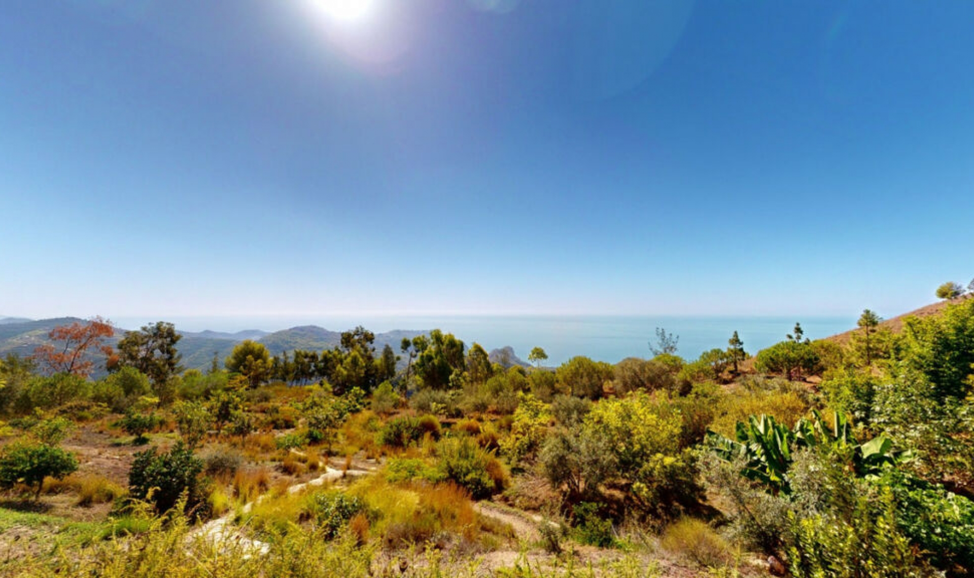 Resale - House -
Nerja