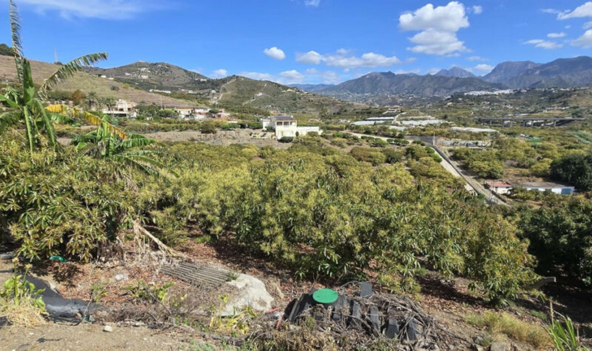 Resale - House -
Nerja