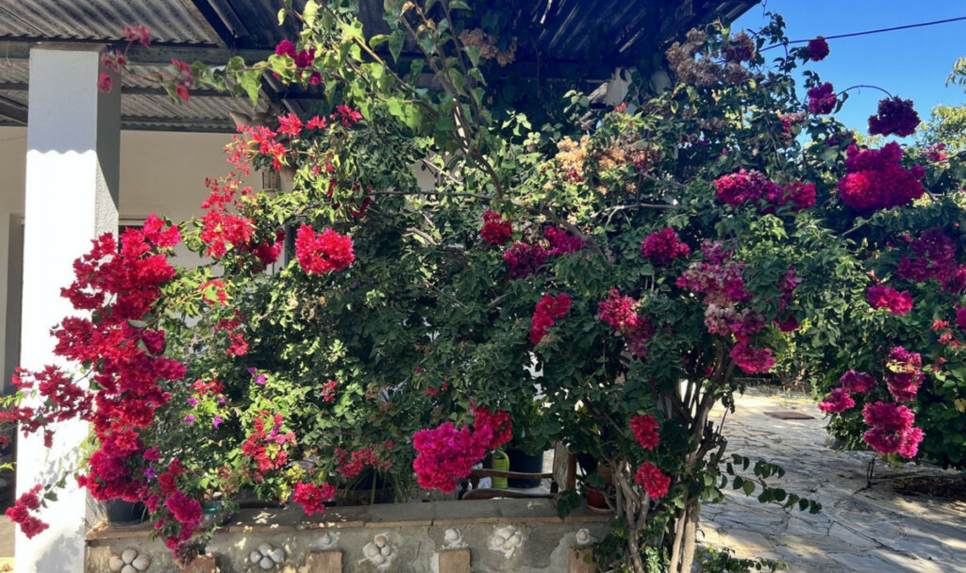 Resale - House -
New Golden Mile