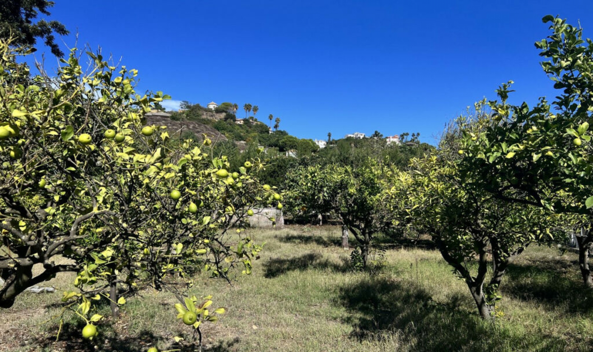 Resale - House -
New Golden Mile