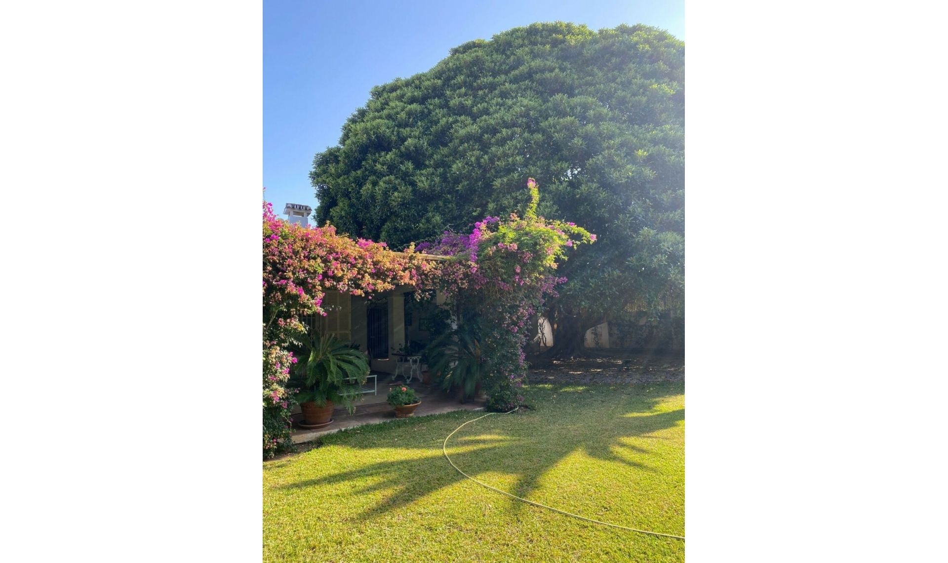 Resale - House -
New Golden Mile