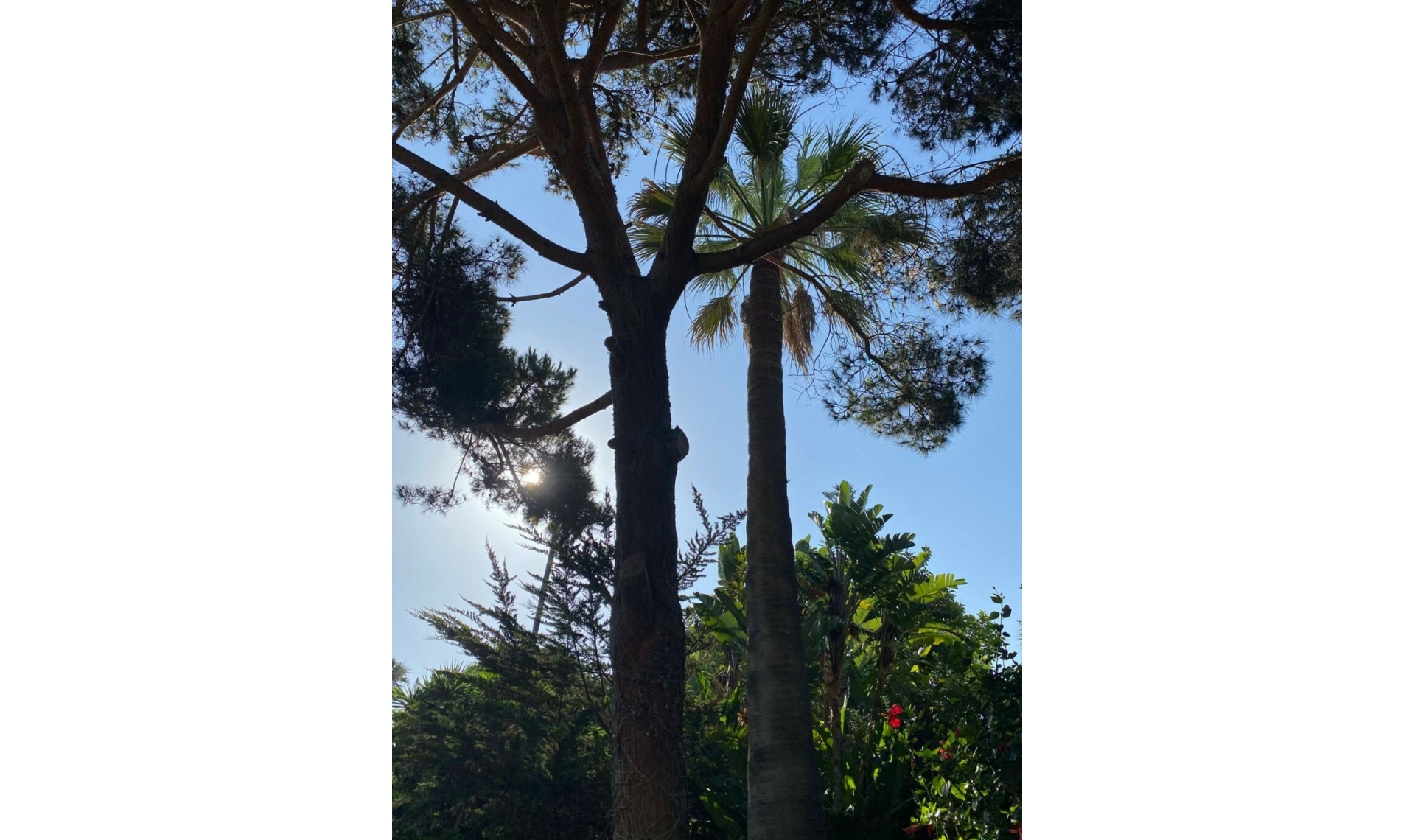 Resale - House -
New Golden Mile