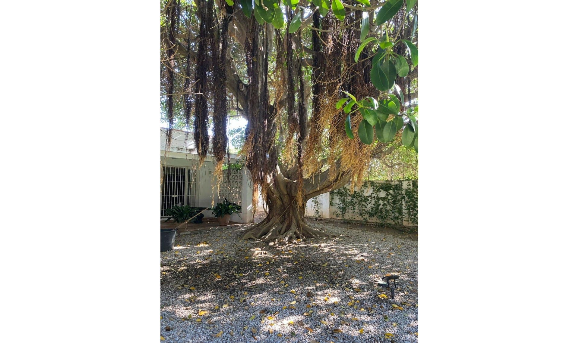 Resale - House -
New Golden Mile