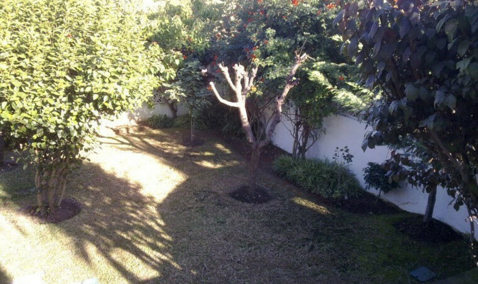 Resale - House -
Nueva Andalucía