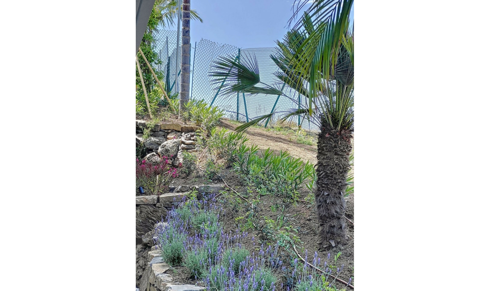 Resale - House -
Nueva Andalucía