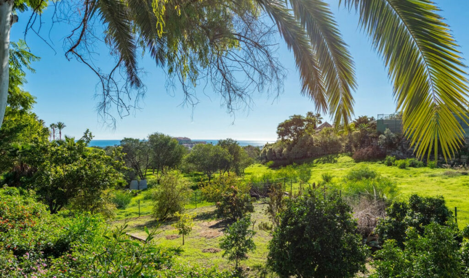 Resale - House -
Nueva Andalucía