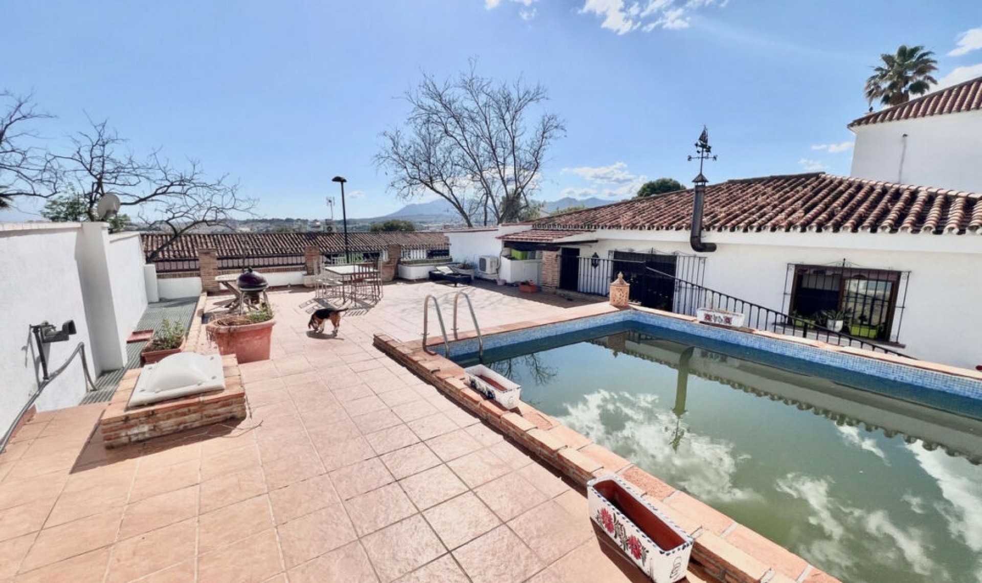 Resale - House -
Nueva Andalucía