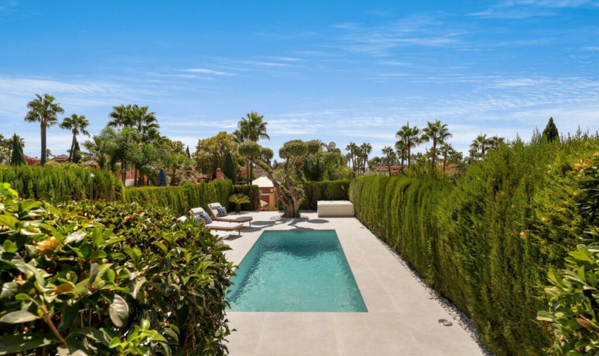 Resale - House -
Nueva Andalucía