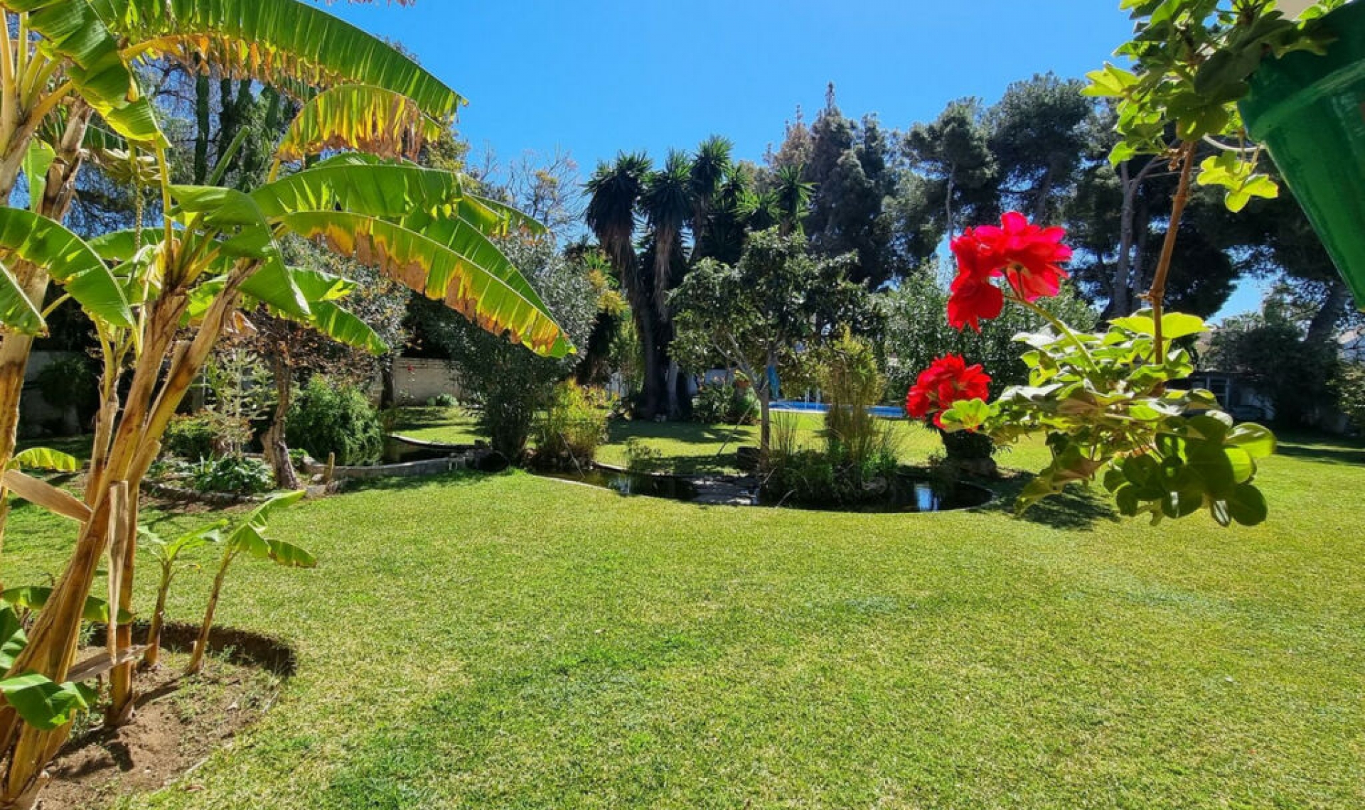 Resale - House -
Puerto Banús