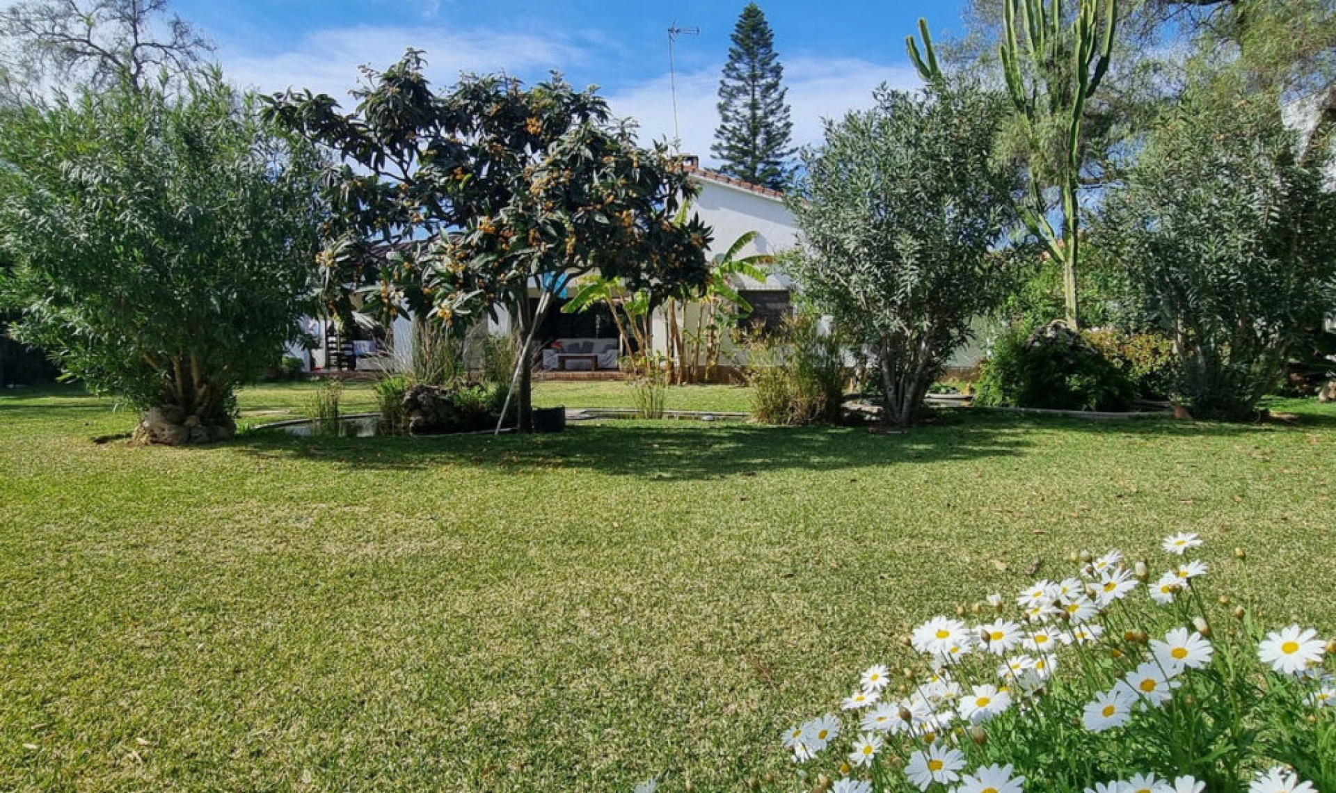 Resale - House -
Puerto Banús