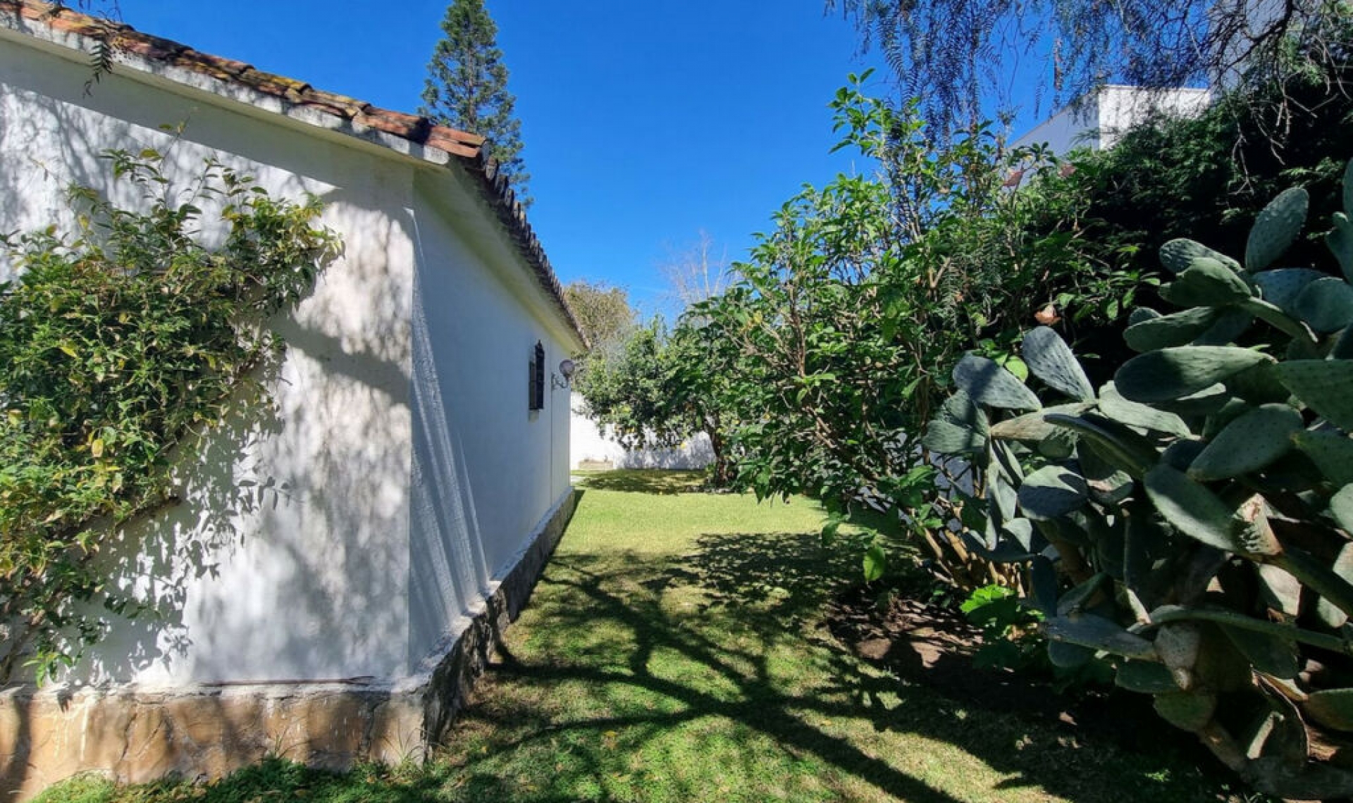 Resale - House -
Puerto Banús