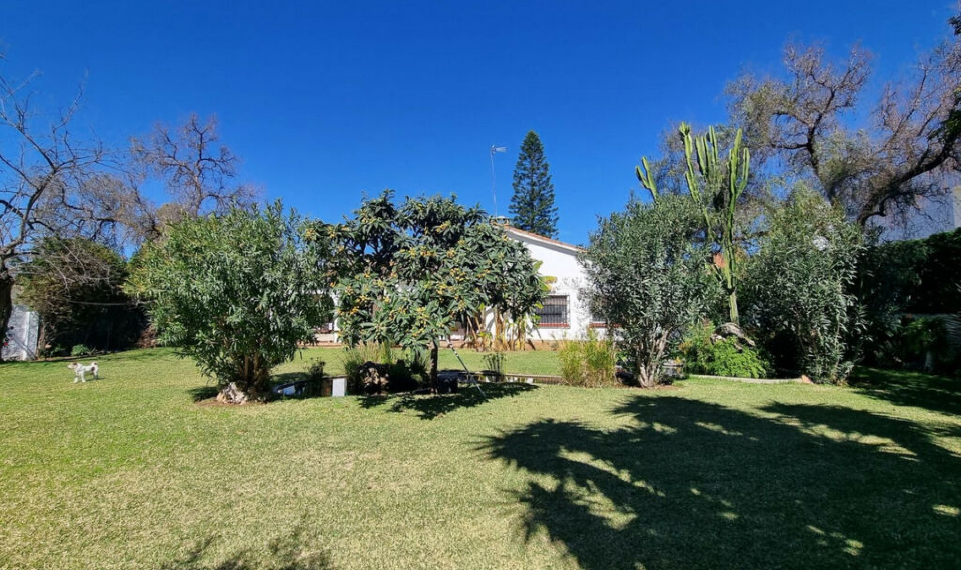 Resale - House -
Puerto Banús