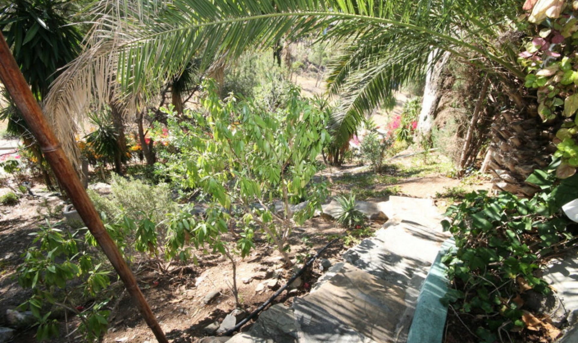 Resale - House -
Rincón de la Victoria