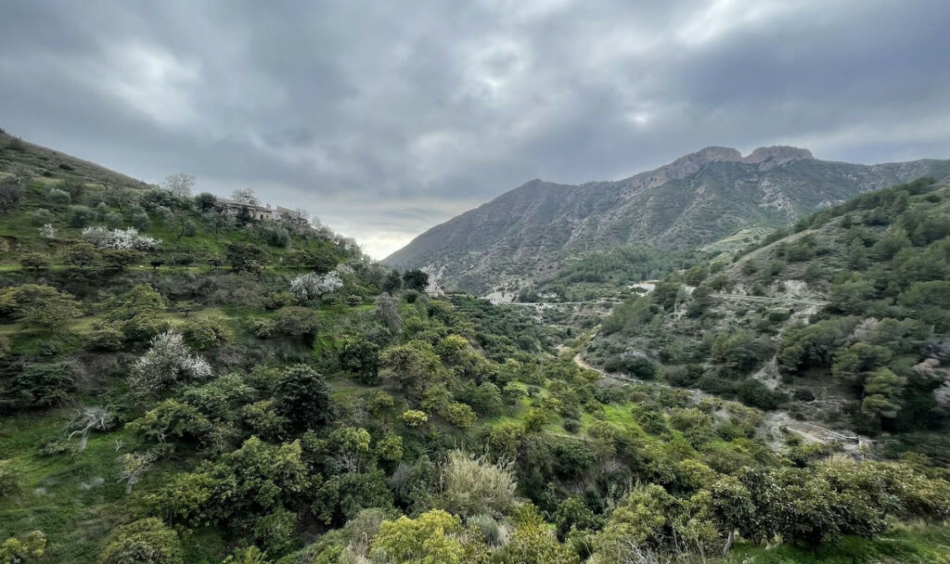 Resale - House -
Río de la Miel