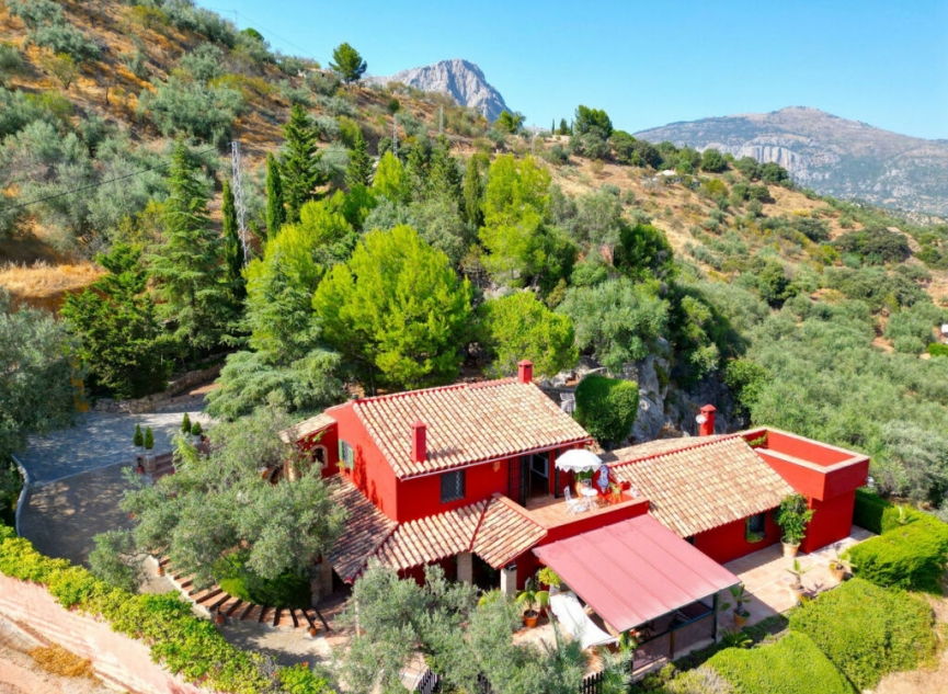 Resale - House -
Riogordo