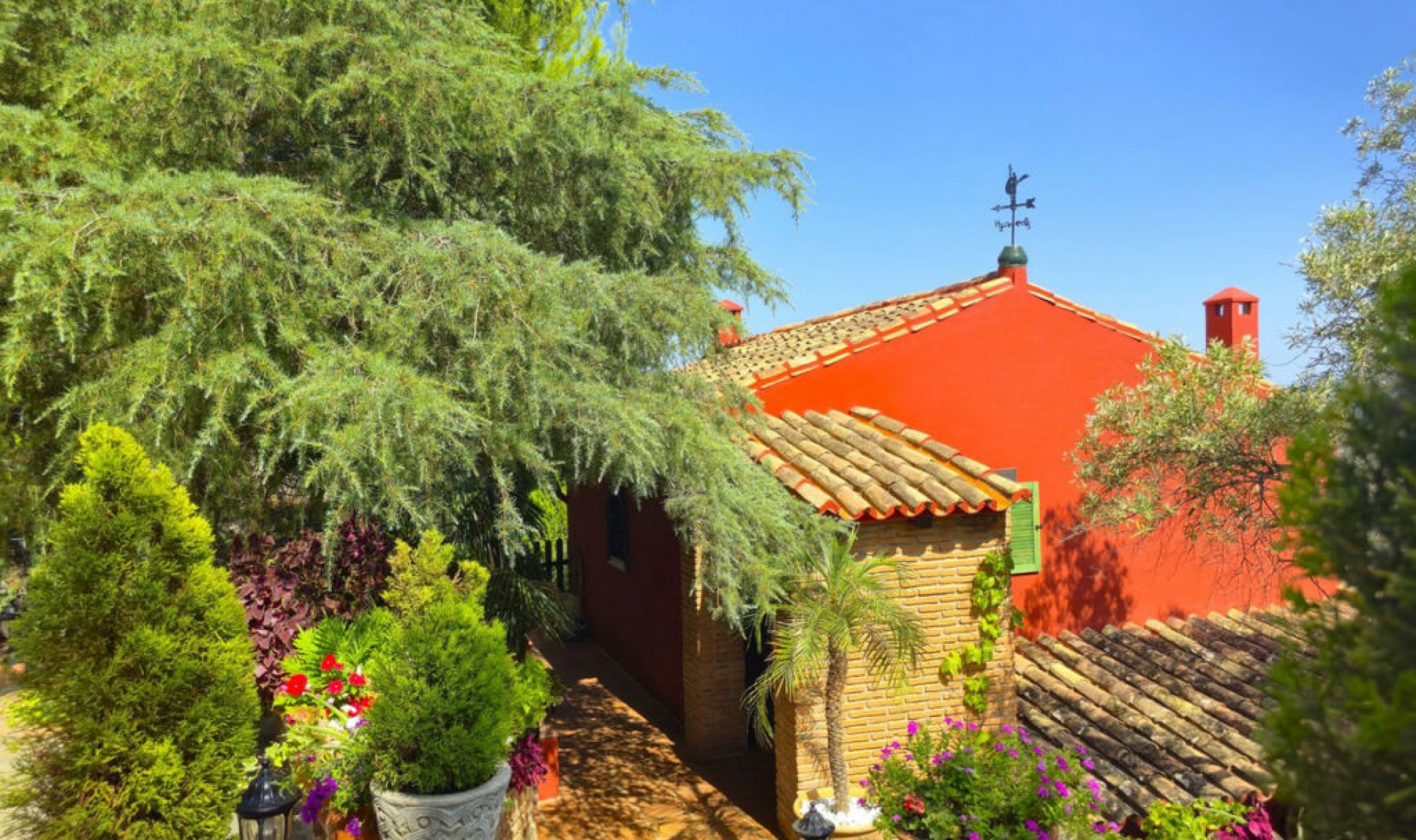 Resale - House -
Riogordo