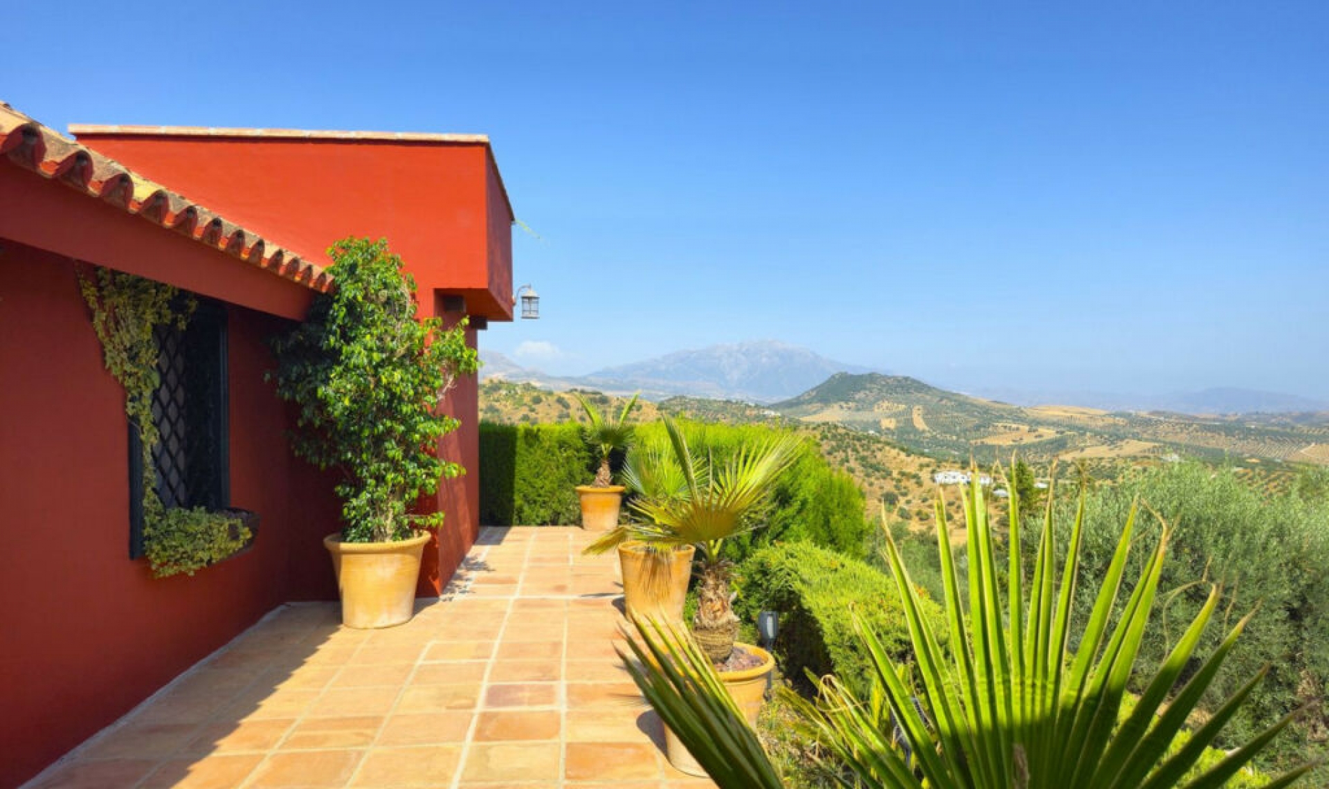 Resale - House -
Riogordo