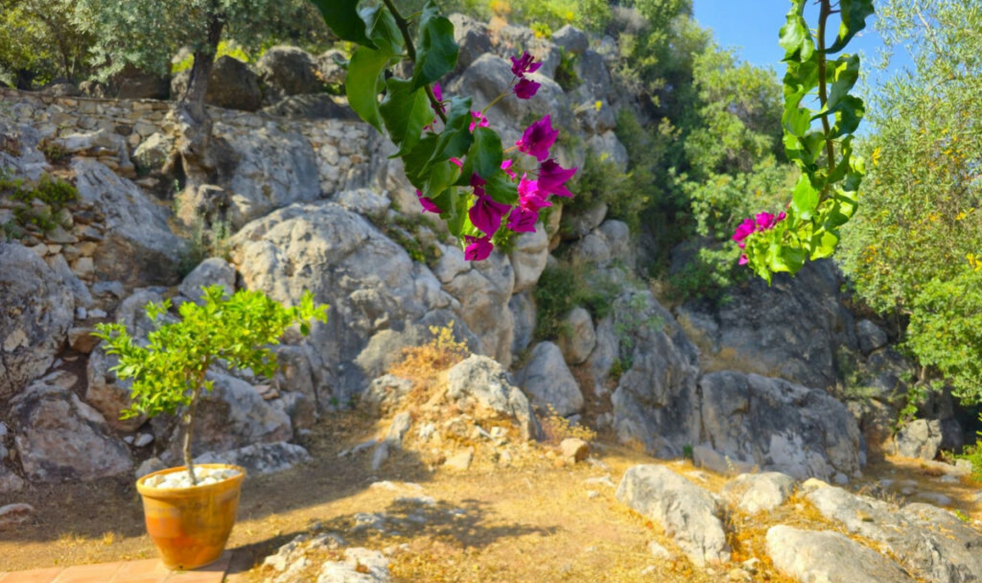 Resale - House -
Riogordo