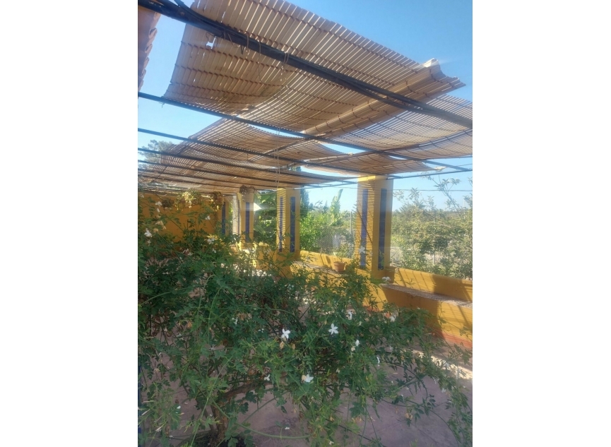 Resale - House -
San Enrique