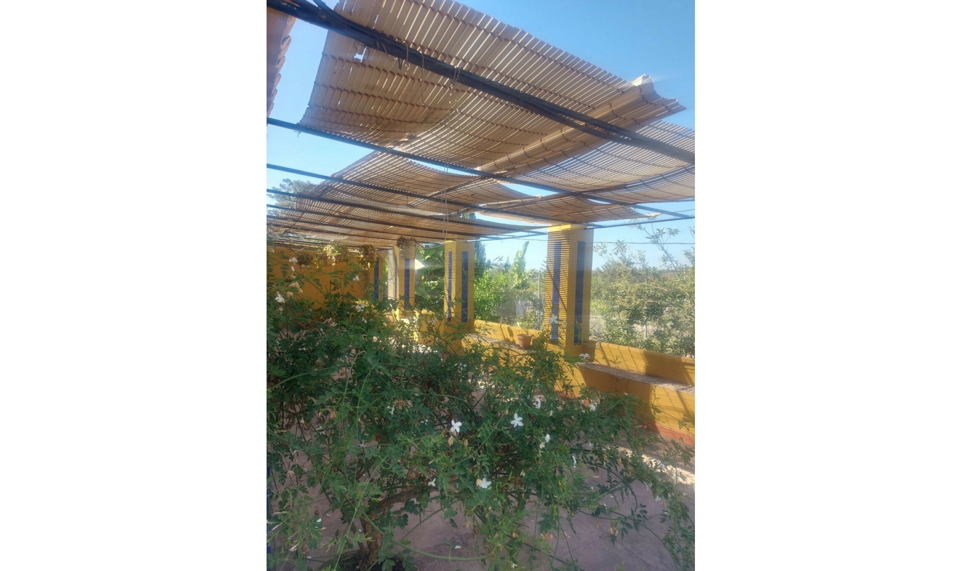 Resale - House -
San Enrique