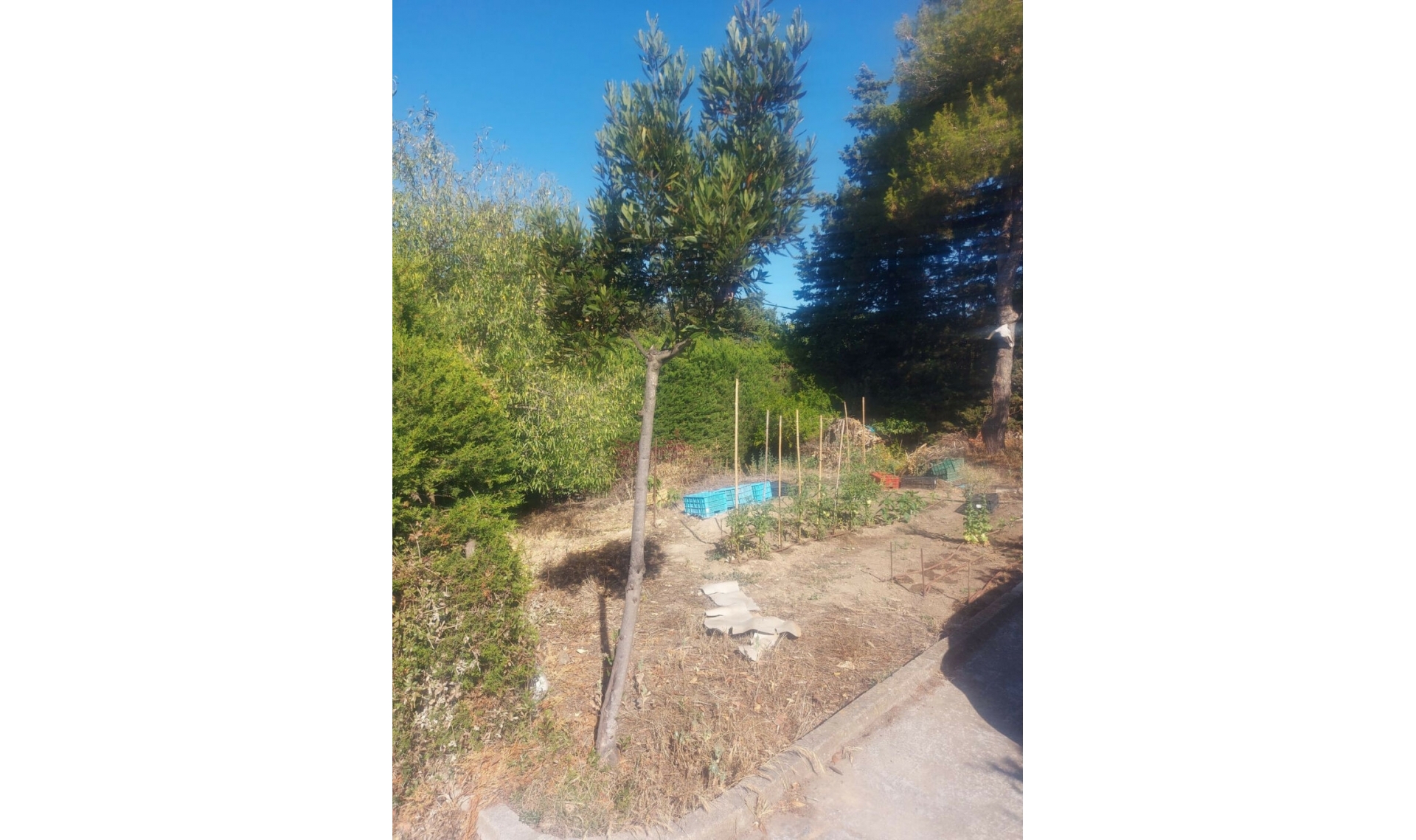 Resale - House -
San Enrique