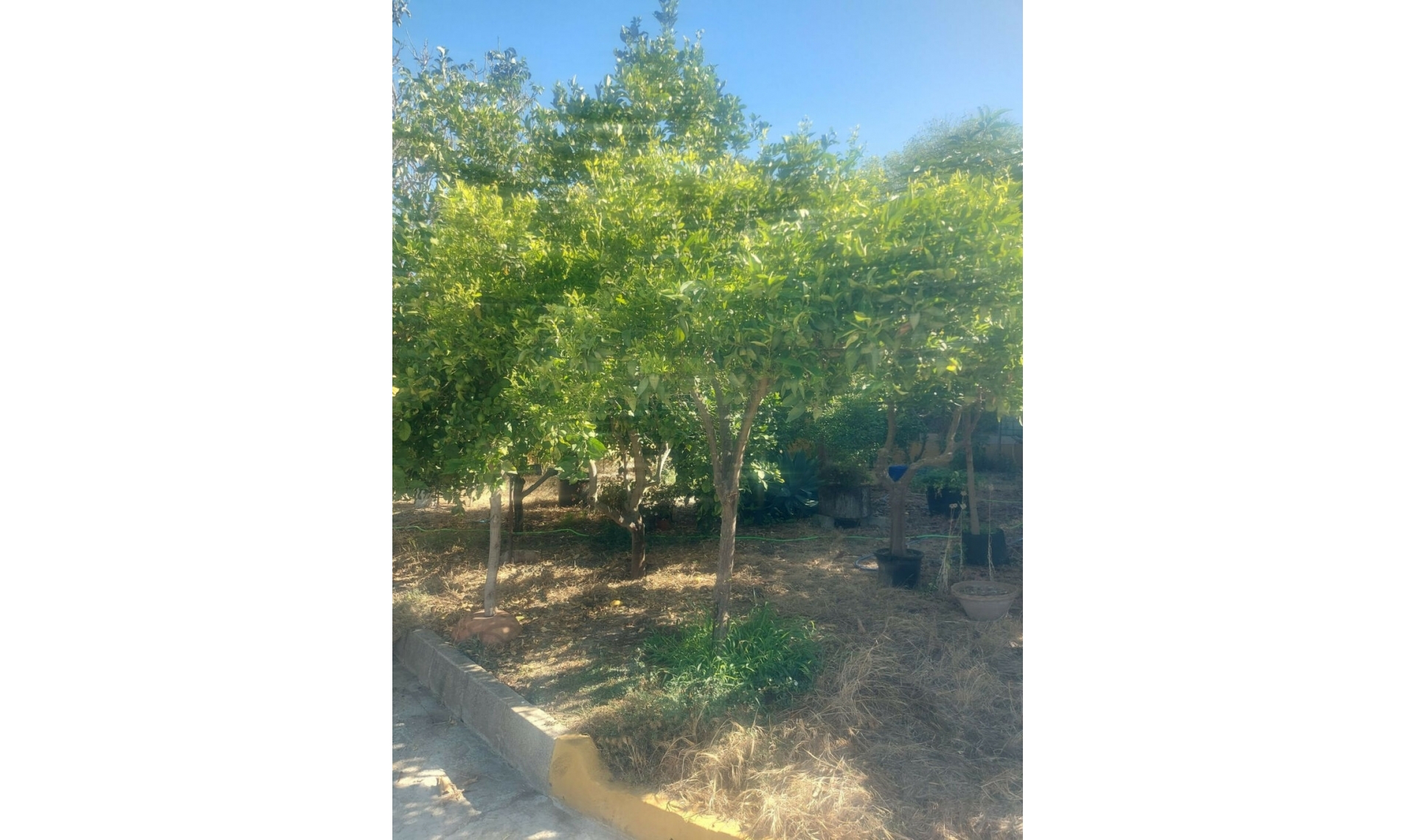 Resale - House -
San Enrique