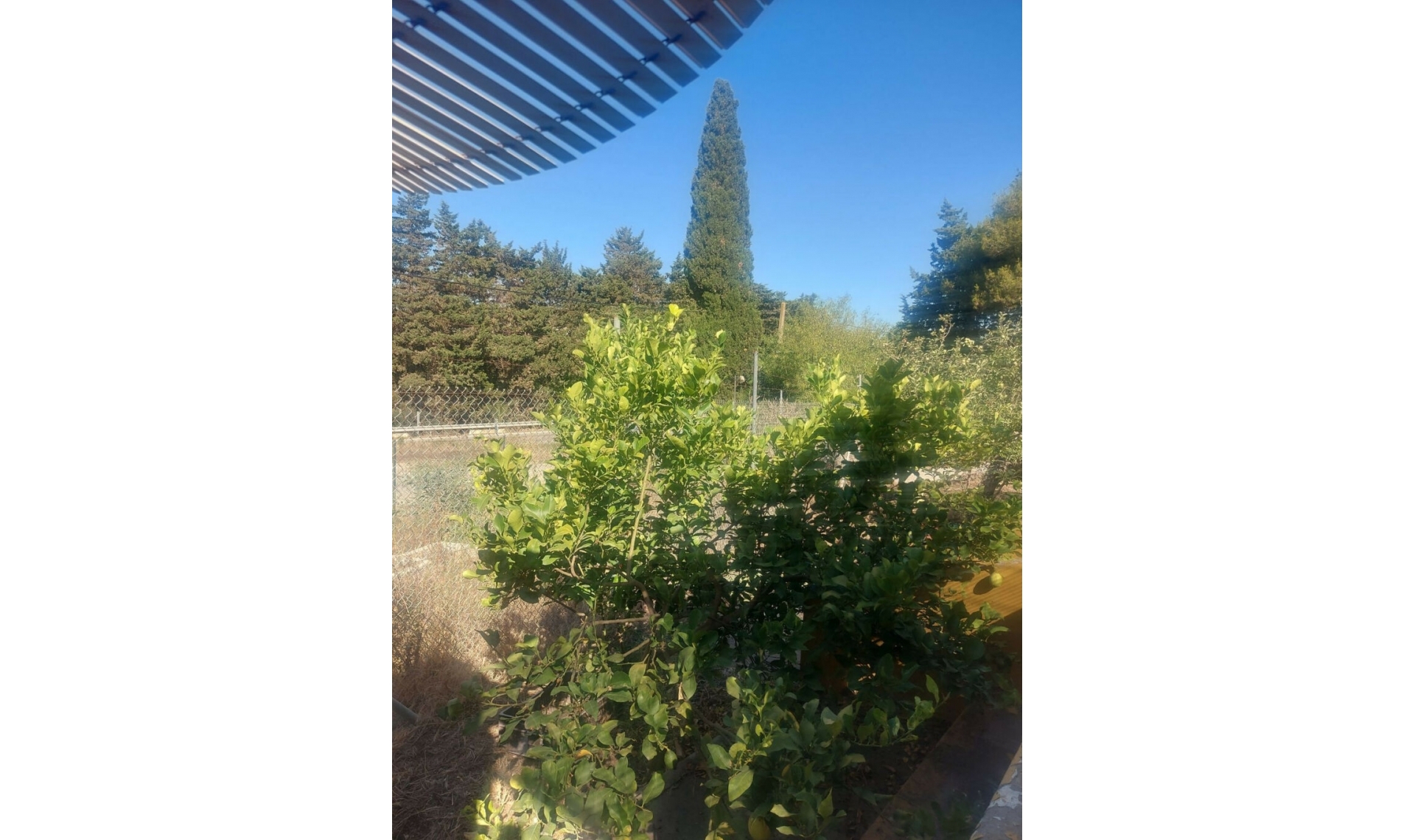 Resale - House -
San Enrique