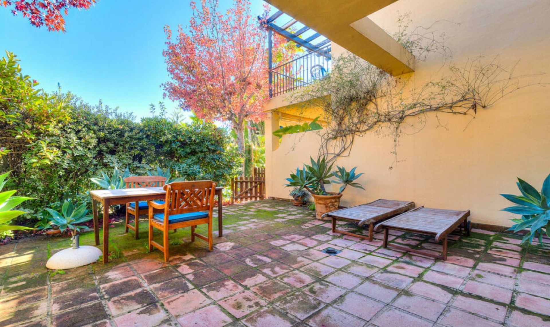 Resale - House -
San Pedro de Alcántara