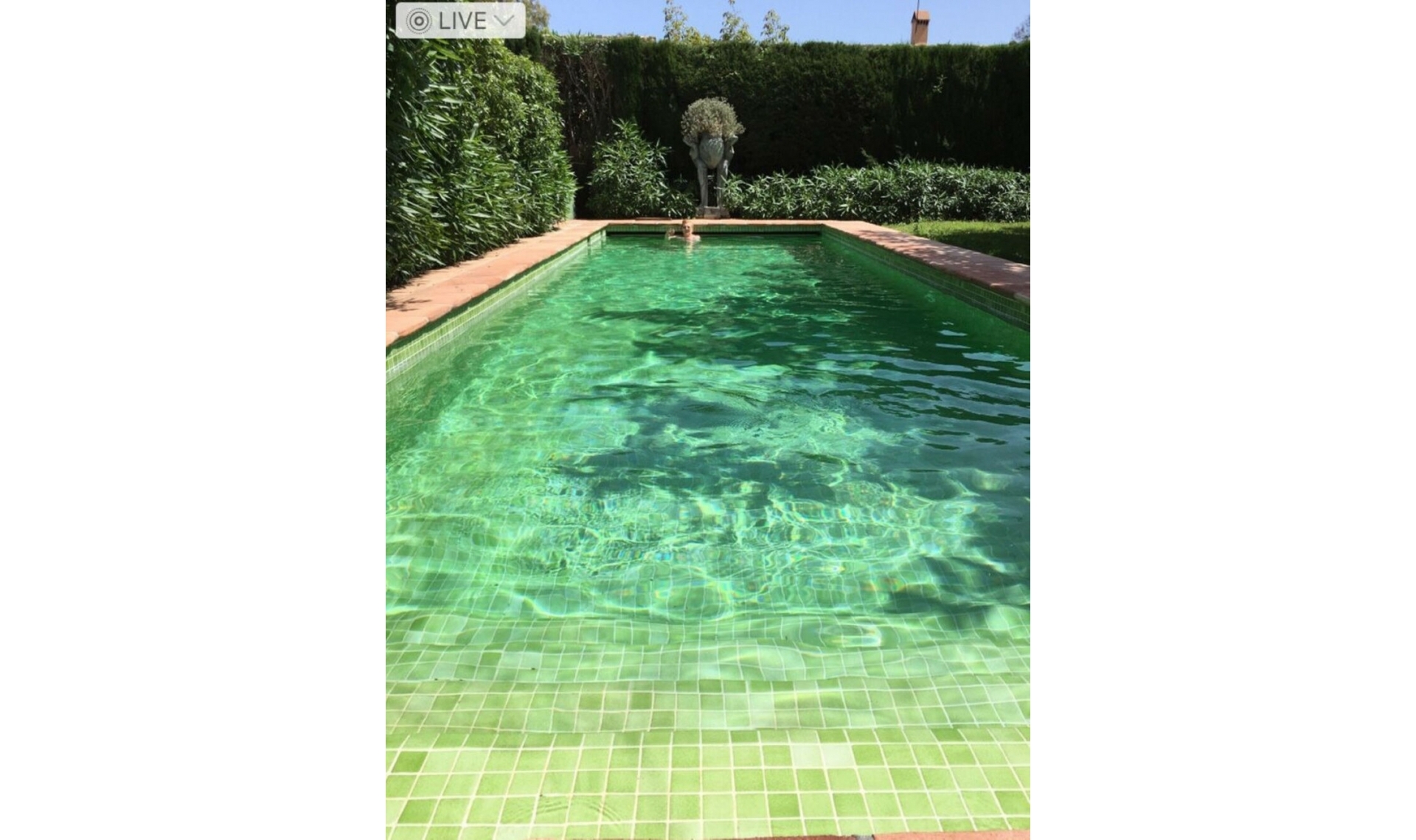 Resale - House -
San Pedro de Alcántara