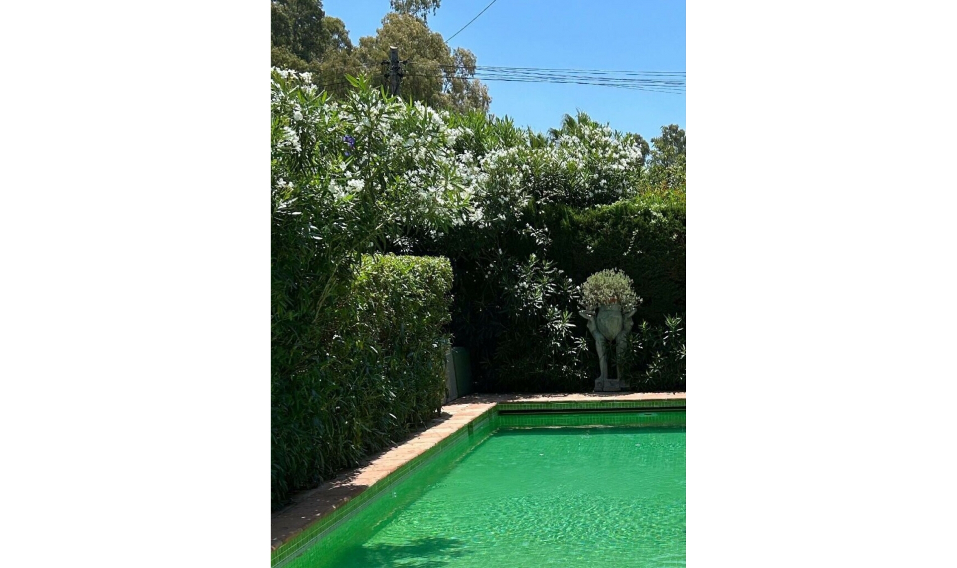 Resale - House -
San Pedro de Alcántara