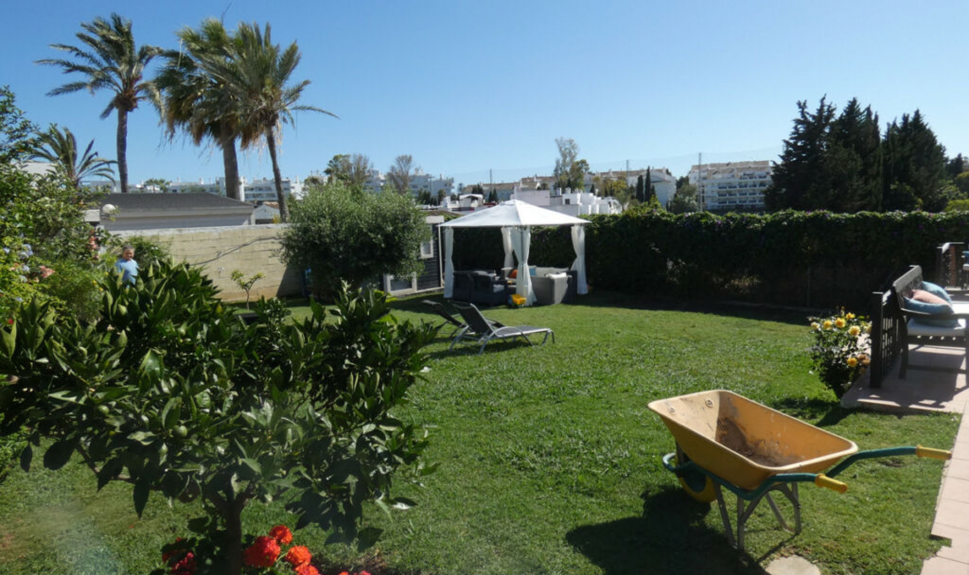 Resale - House -
San Pedro de Alcántara