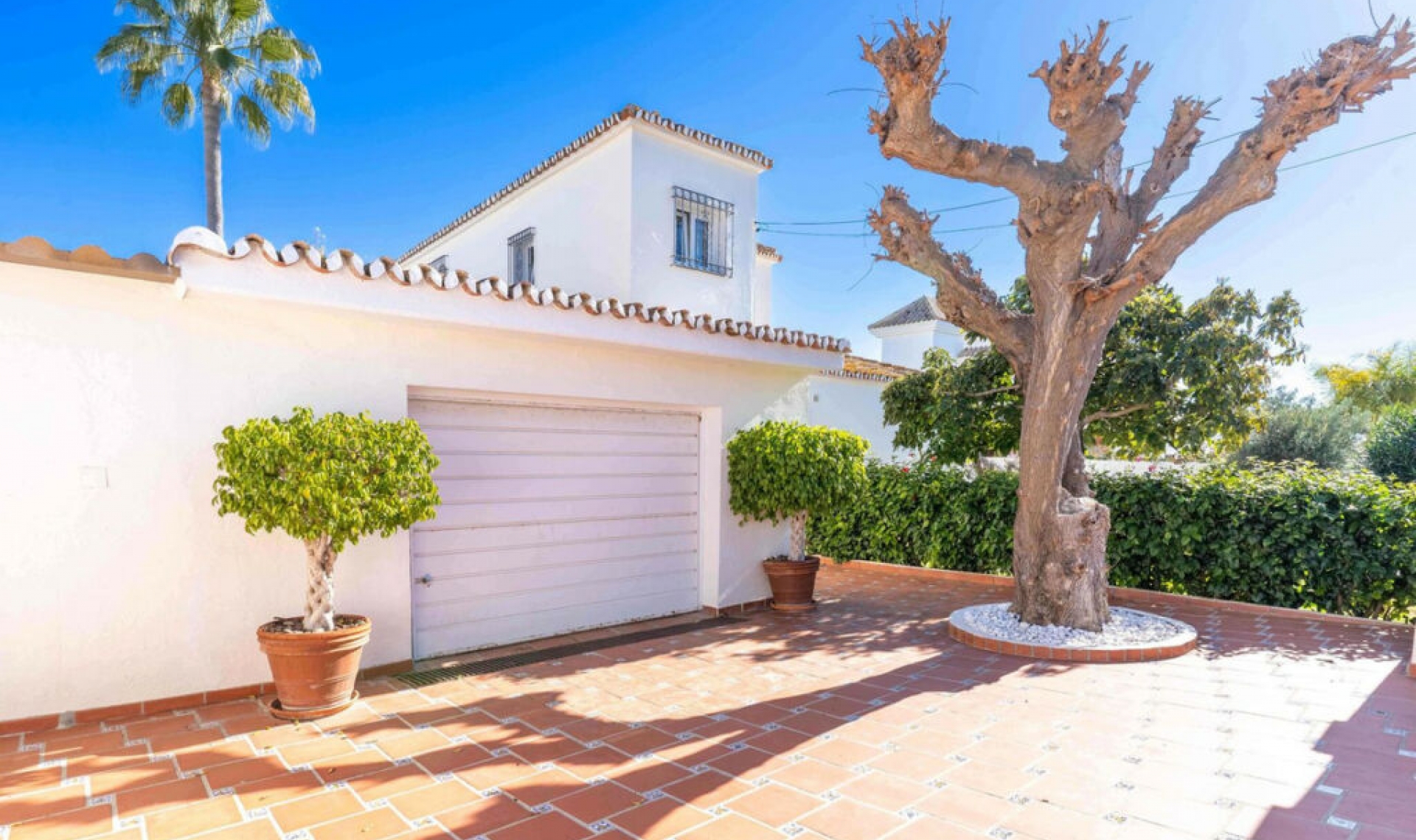 Resale - House -
San Pedro de Alcántara