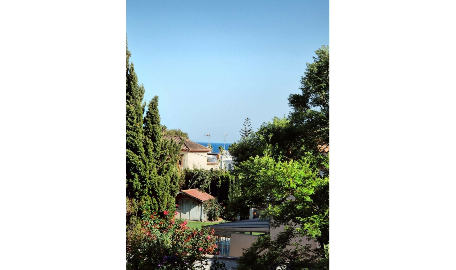 Resale - House -
San Pedro de Alcántara