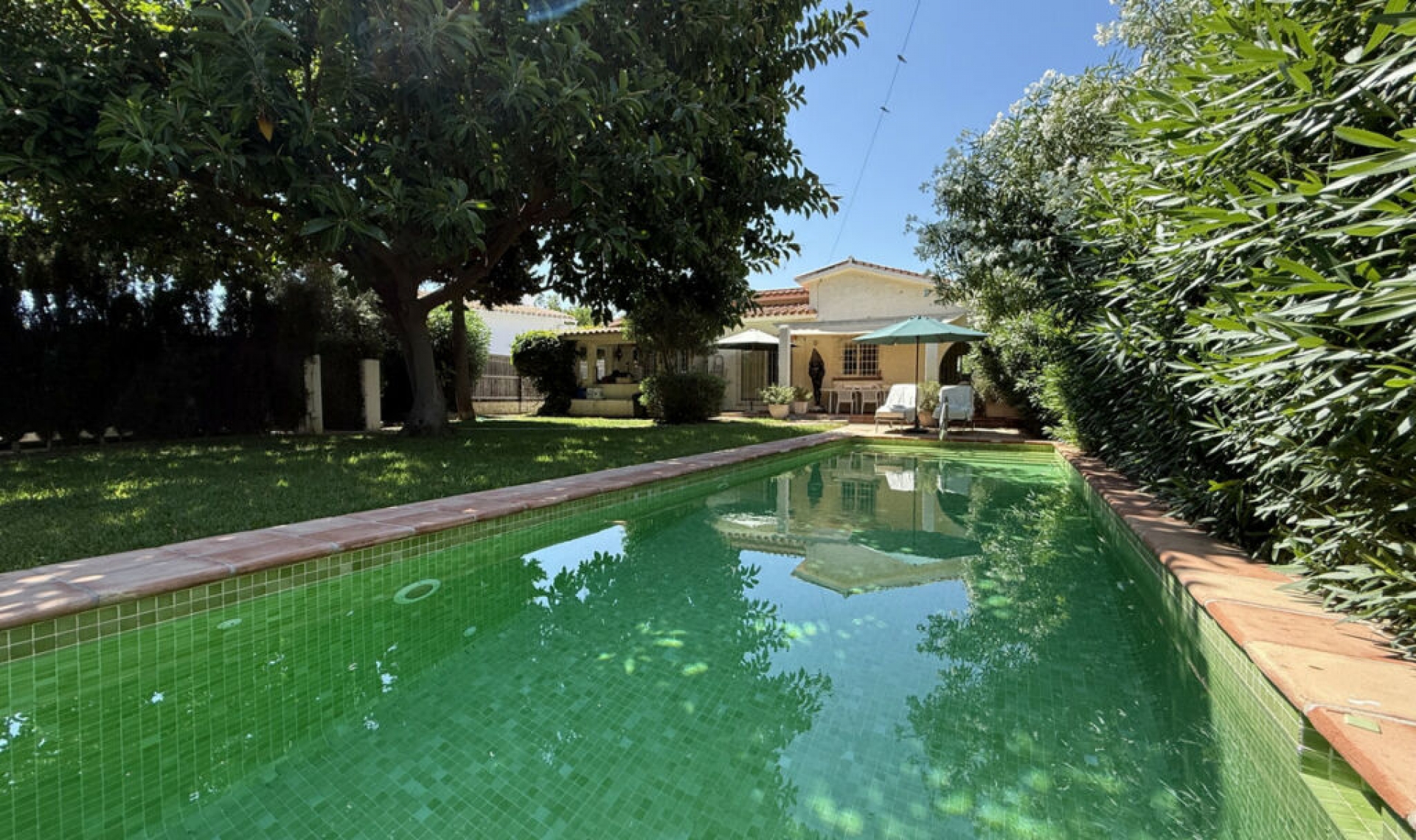 Resale - House -
San Pedro de Alcántara