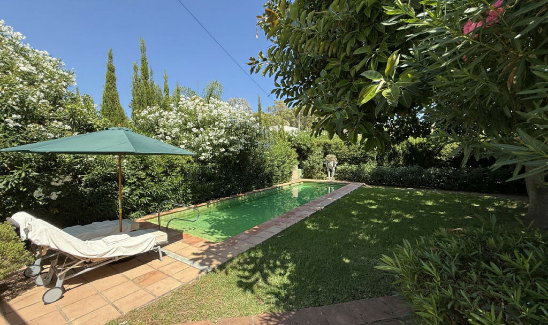 Resale - House -
San Pedro de Alcántara