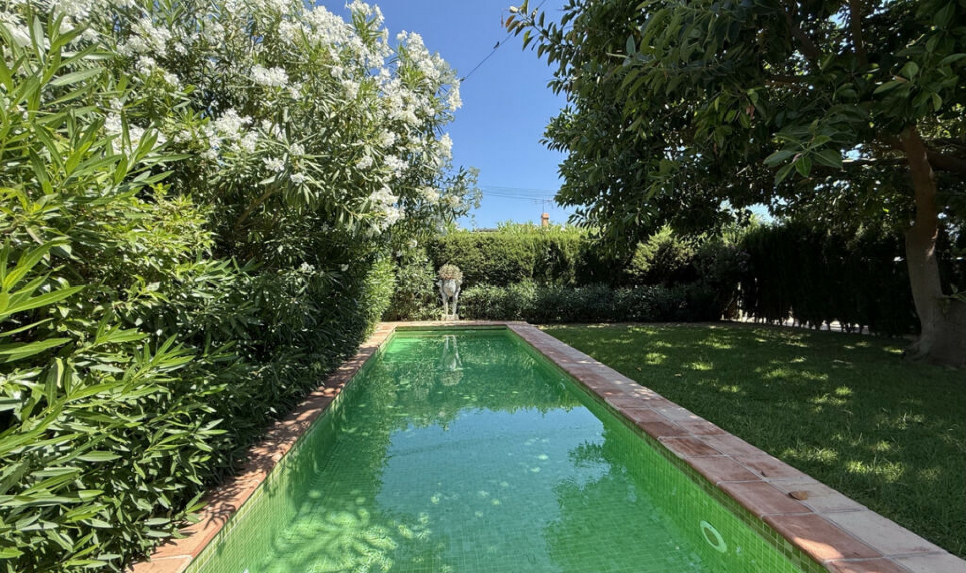 Resale - House -
San Pedro de Alcántara