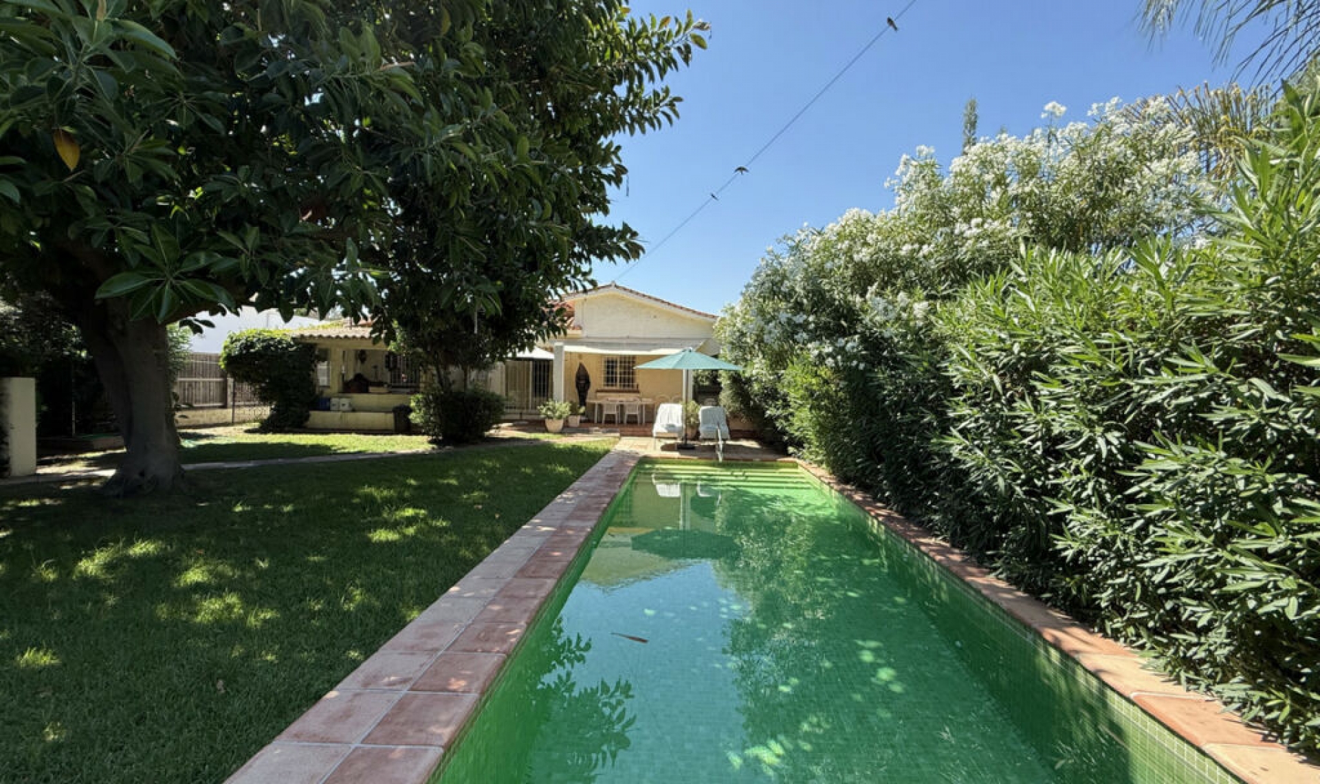 Resale - House -
San Pedro de Alcántara