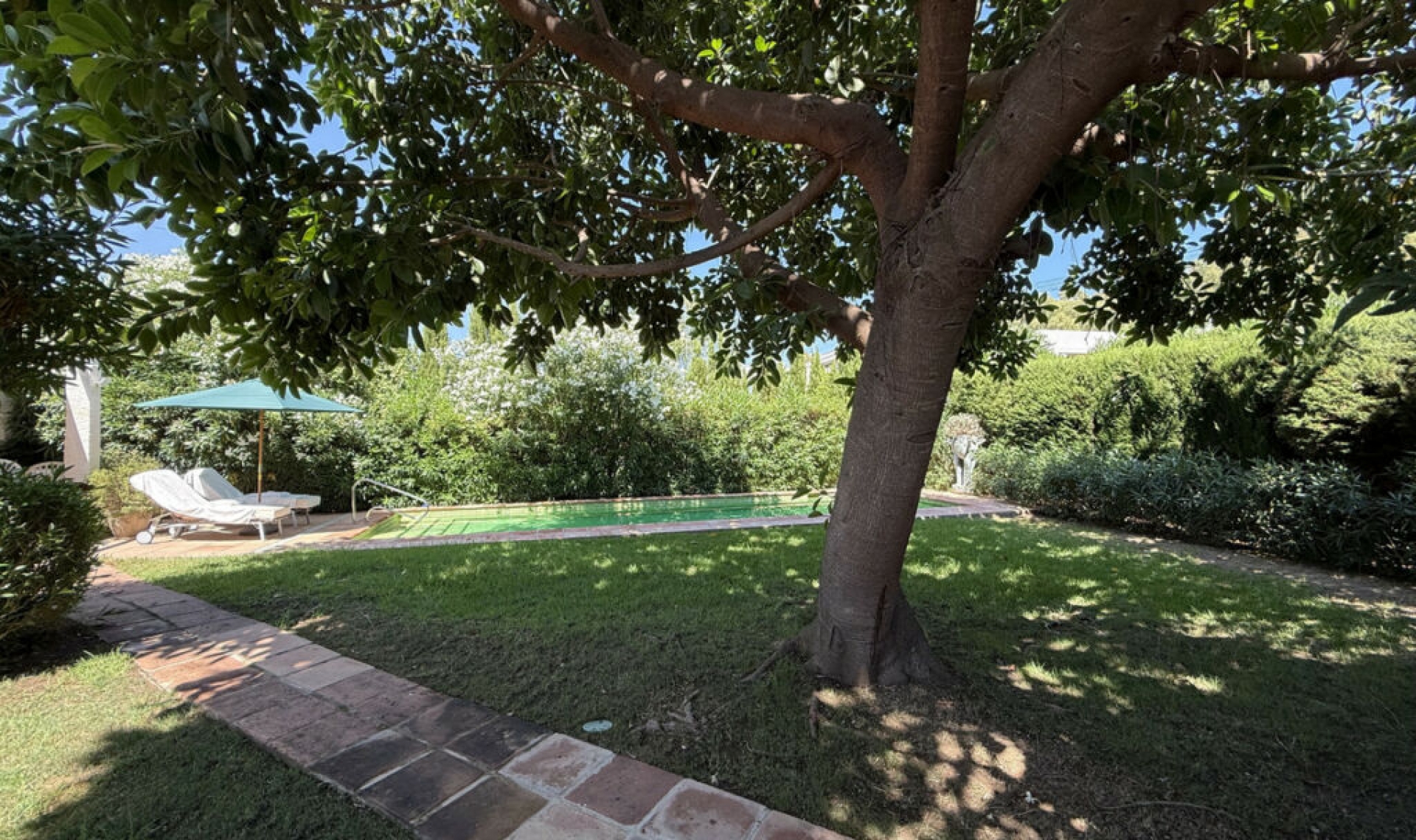 Resale - House -
San Pedro de Alcántara