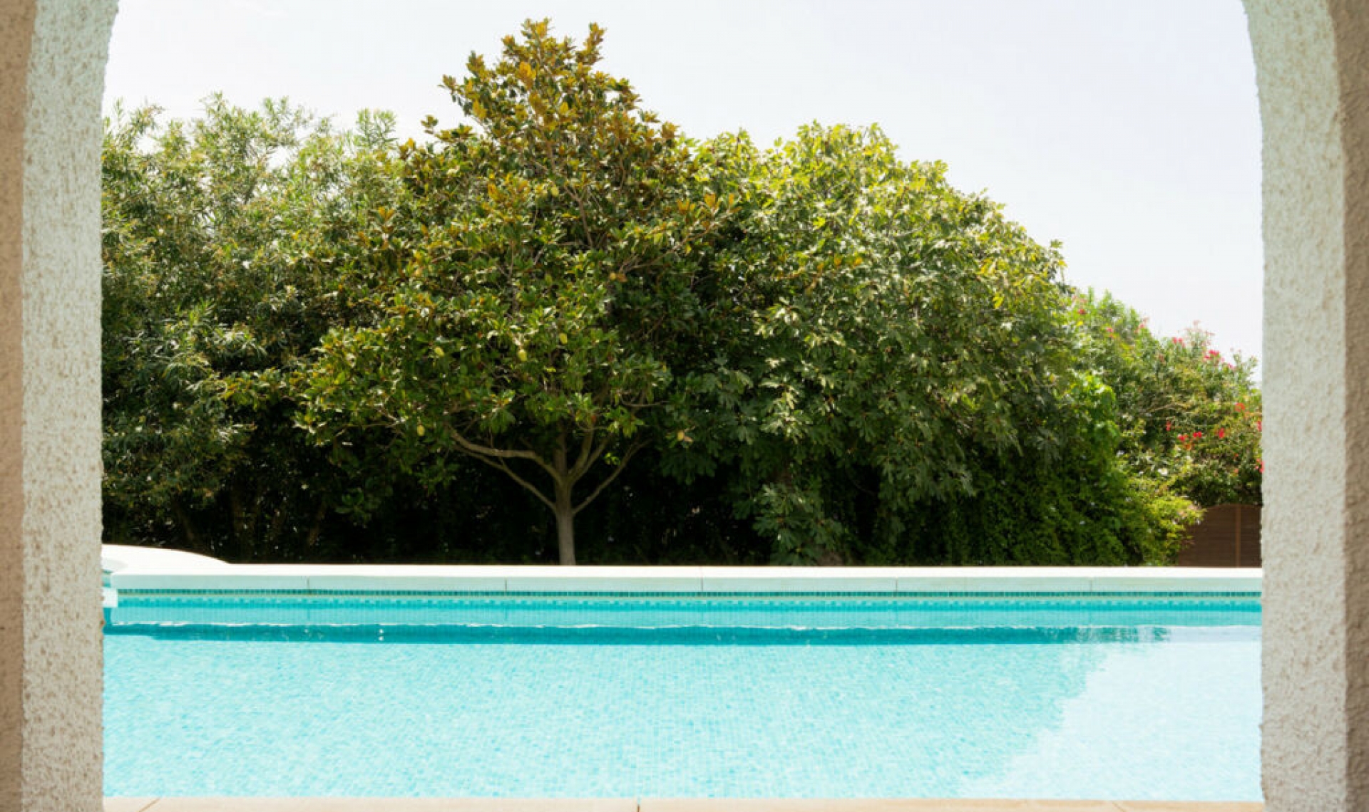 Resale - House -
San Pedro de Alcántara