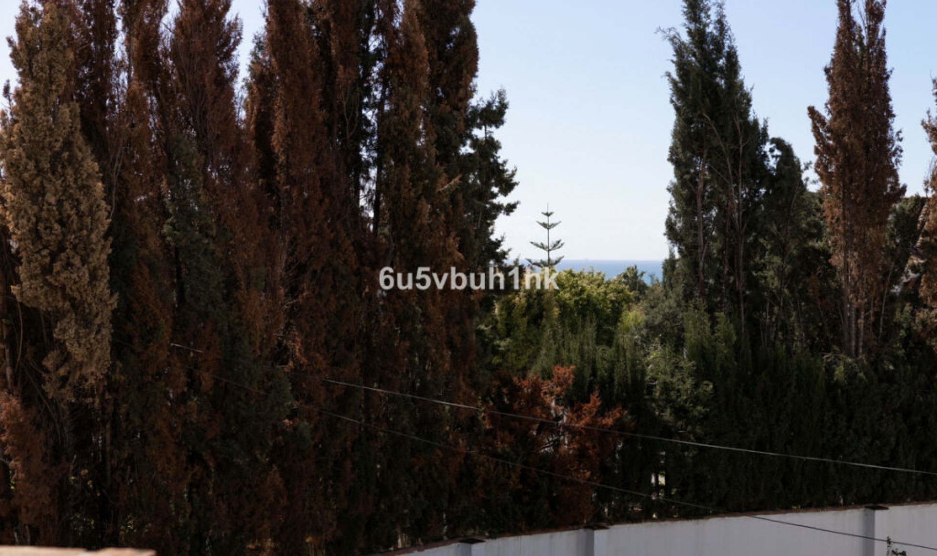 Resale - House -
San Pedro de Alcántara