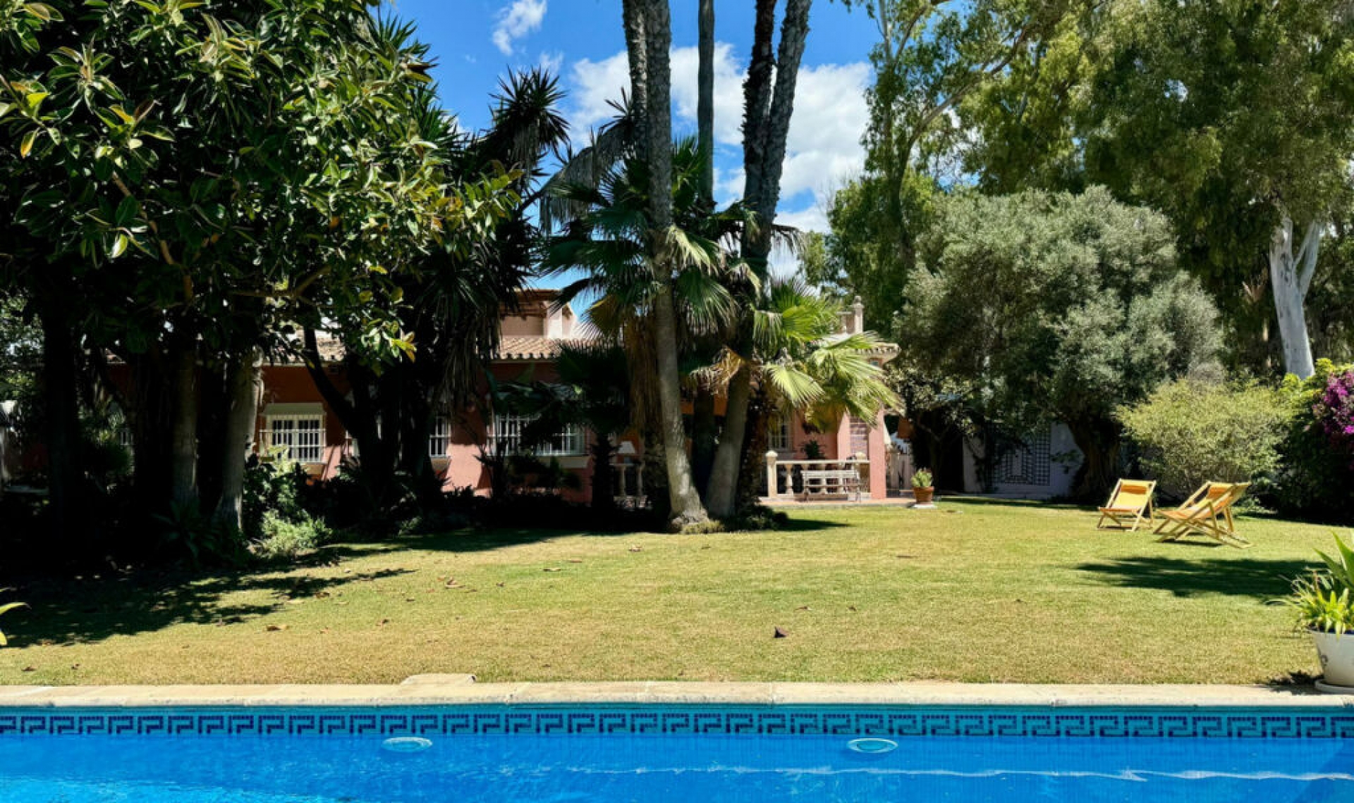 Resale - House -
San Pedro de Alcántara