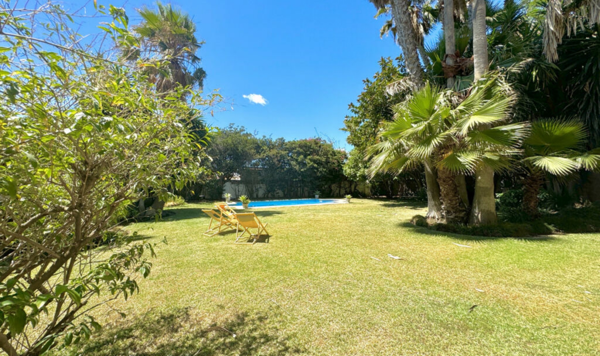 Resale - House -
San Pedro de Alcántara