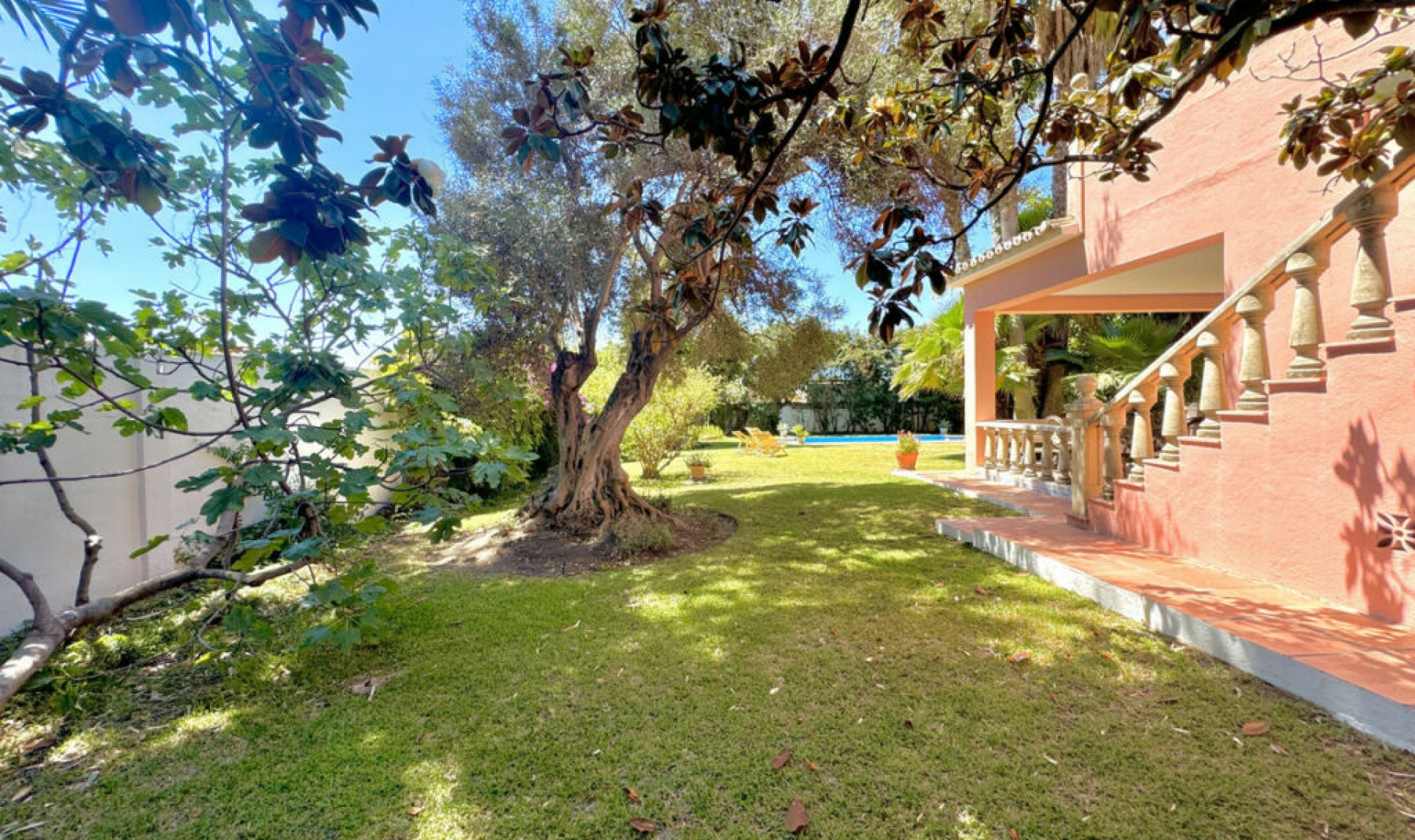 Resale - House -
San Pedro de Alcántara