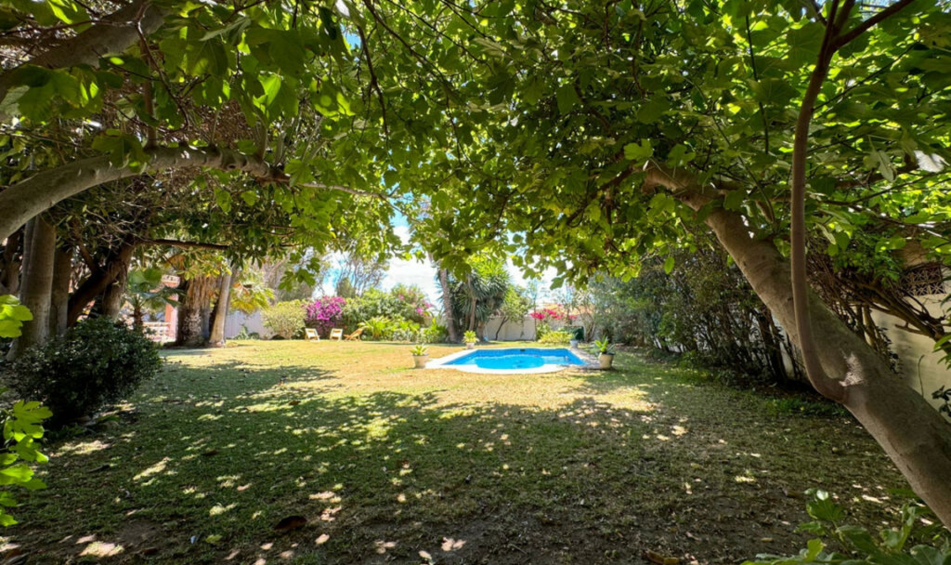 Resale - House -
San Pedro de Alcántara