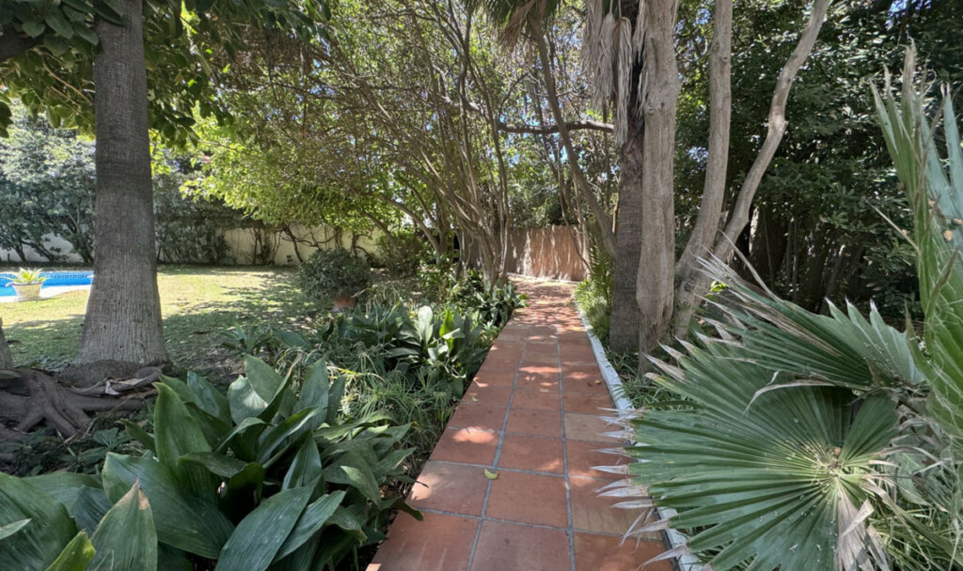 Resale - House -
San Pedro de Alcántara