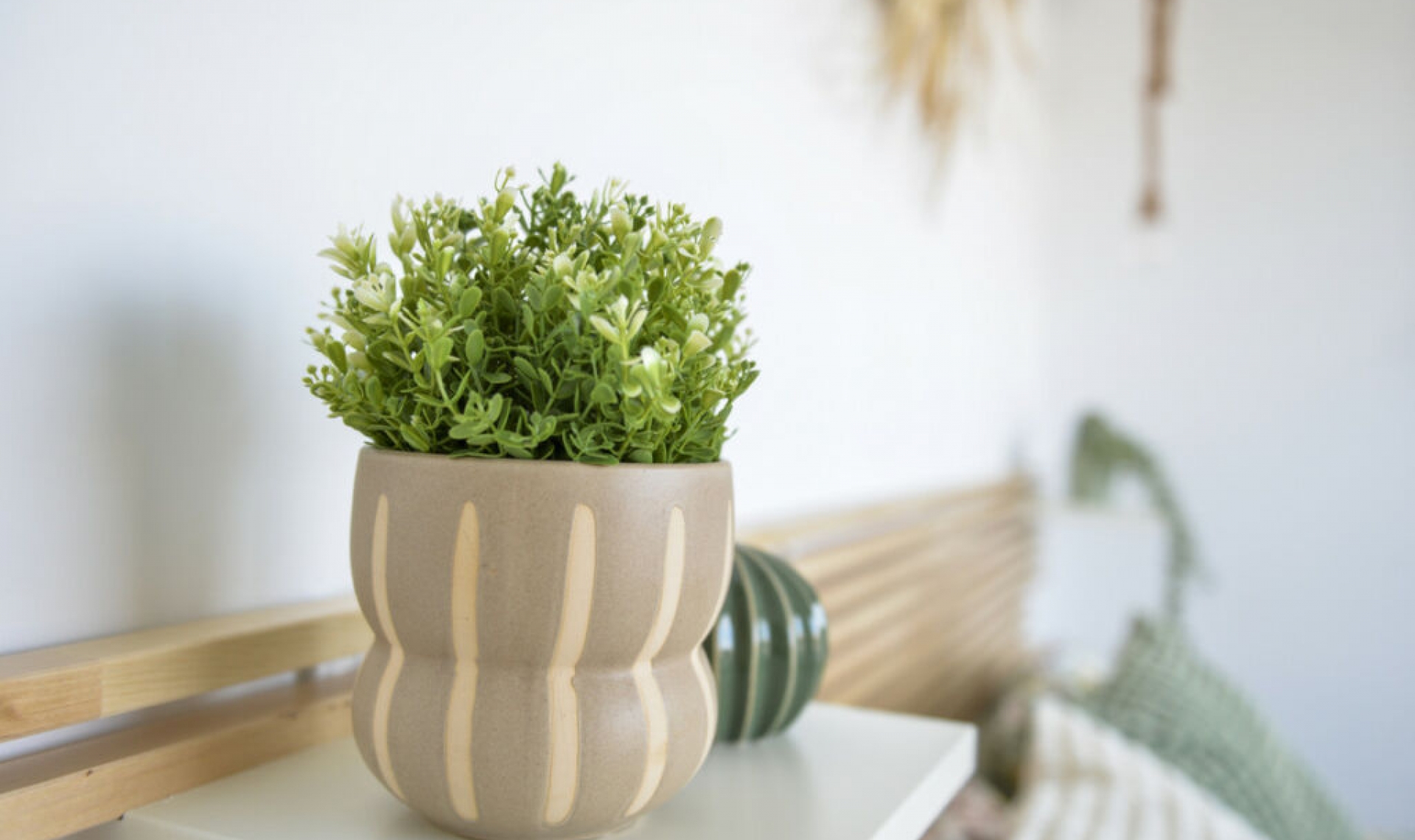 Resale - House -
San Pedro del Pinatar