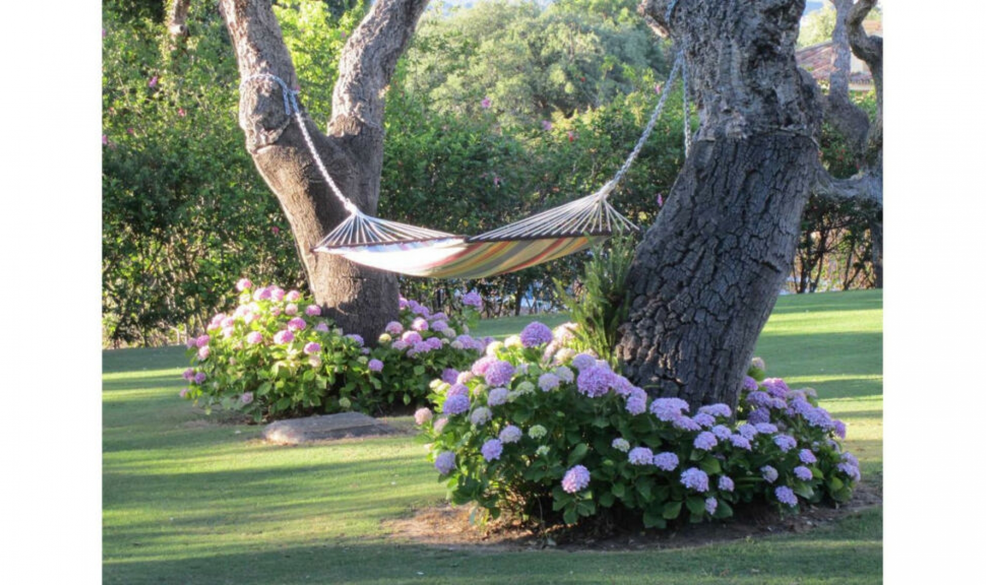 Resale - House -
San Roque Club