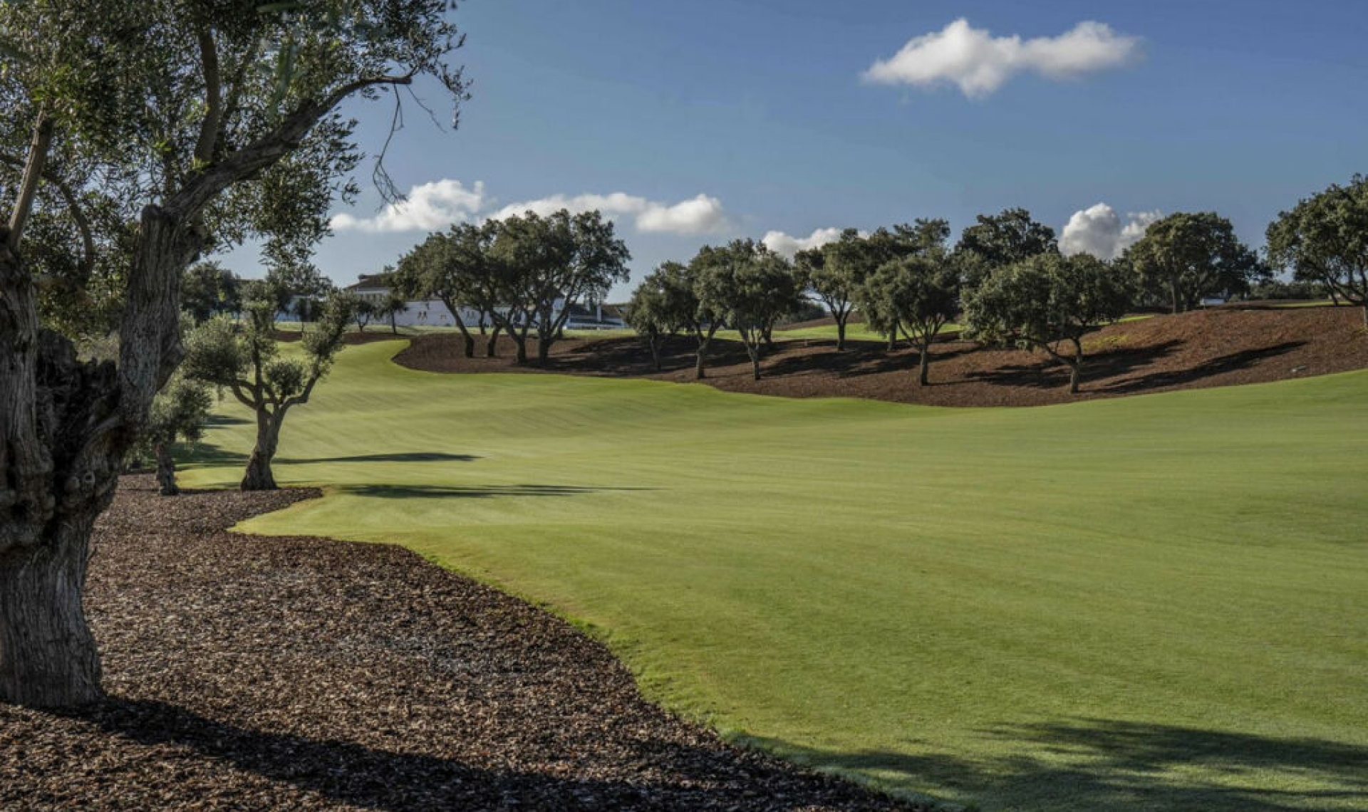 Resale - House -
San Roque Club