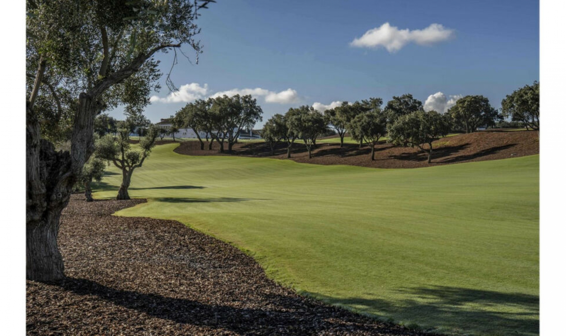 Resale - House -
San Roque Club